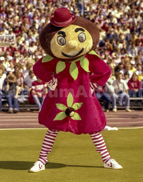 Brutus Mascot Mary Ohio State Buckeyes