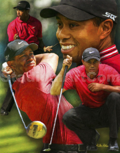 Tiger Woods PGA Pro Golfer