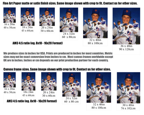 Tom Seaver New York Mets Tom Terrific NY Miracle Mets MLB Baseball Stadium Art Print 2510 size comparisons for common sizes