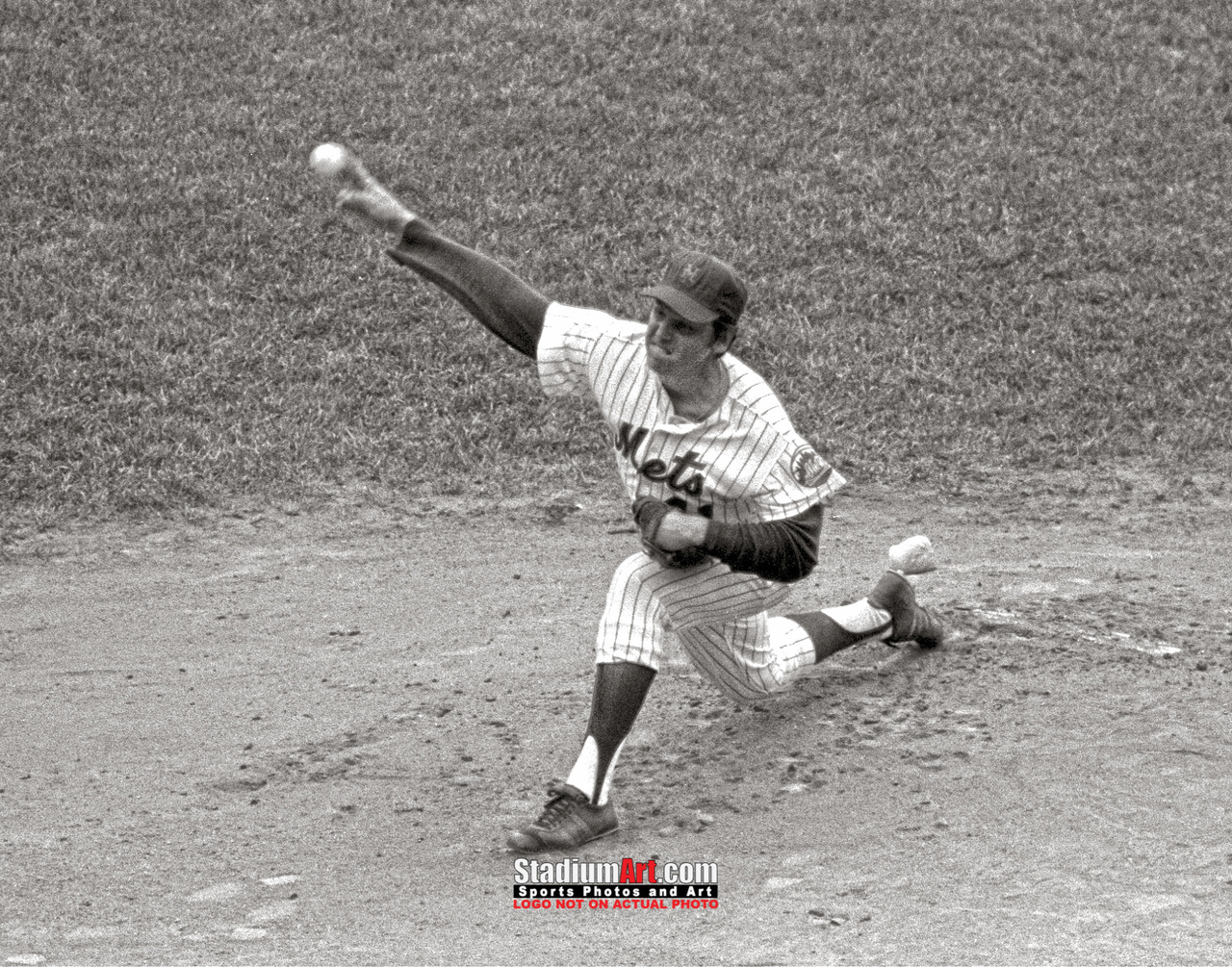 New York Yankees NY Yankee Stadium Baseball Field 8x10 to 48x36 Photo 01