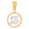 10K Two Tone Gold CZ Women's 1" Quinceanera Medallion 15 in Circle Frame Pendant