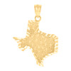 Real 10K Yellow Gold Men's Diamond Cut 1.30" Charm USA State Texas Map Pendant