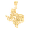 Real 10K Yellow Gold Men's Diamond Cut 1.10" Charm USA State Texas Map Pendant
