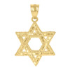 10K Yellow Gold Men's 1.30" D/C Religious Charm Nugget Star of David Pendant