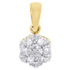 10K Yellow Gold Diamond Hexagon Shape Earring Studs & Pendant Charm Set 1/4 CTW.