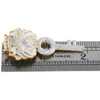 10K Yellow Gold Genuine Diamond Lion Head & Key Pendant 1.90" Pave Charm 7/8 CT.