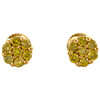 10K Yellow Gold Unisex Canary Yellow Diamond Flower Studs 5mm Earrings 1/4 CT.