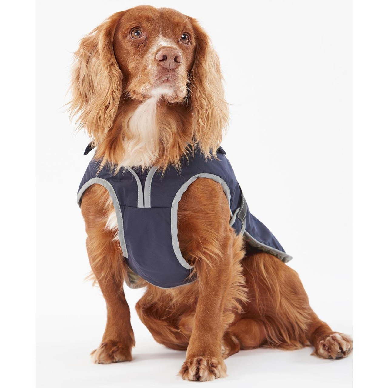 wainwright dog coat sale