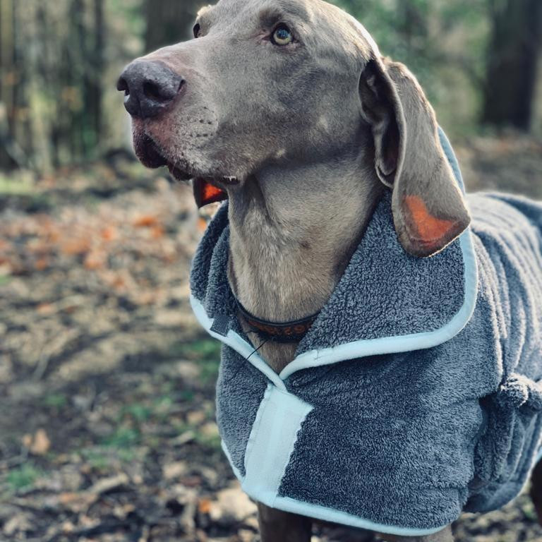 Henry Wag Microfibre Drying Coat Philip Morris Son