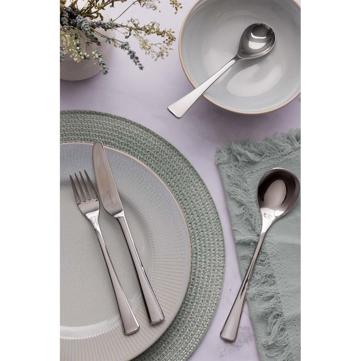 Viners Darwin 16 Piece Cutlery Set | Philip Morris & Son
