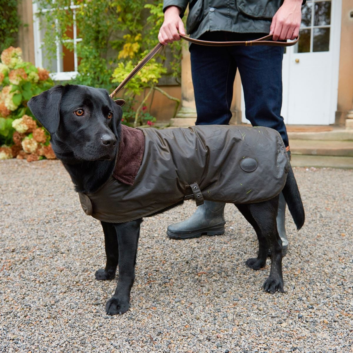 Barbour Wax Dog Coat