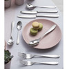 Viners Glamour Loose Cutlery LS5