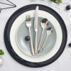 Viners Eden Loose Cutlery LS3
