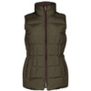 Dubarry Womens Spiddal Gilet In Olive