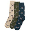 Forest Barbour Mens Pointer Dog Socks Gift Boxed