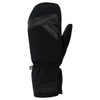 Black Sealskinz Extreme Cold Weather Mittens