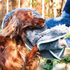 Henry Wag Microfibre Noodle Glove Towel Lifestyle