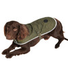 Olive Barbour Paw Quilt Dog Coat On Dog