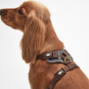 Barbour Fully Adjustable Dog Harness Model