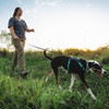Basalt Gray Ruffwear Hi & Light Lightweight Dog Harness Lifestyle