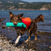 Aurora Teal Ruffwear Lunker Floating Dog Toy Lifestyle