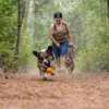 Campfire Orange Ruffwear Turnup Dog Toy Lifestyle