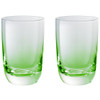 Denby Casual Green Large Tumbler Set of 2