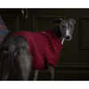 Biking Red Barbour Saltburn Dog Jumper Lifestyle