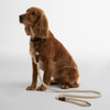 Natural/Classic Barbour Cotton Rope Dog Lead lifestyle