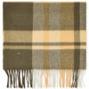 Dusky Green Dubarry Womens Kinvara Wool Check Scarf