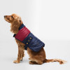 Red/Navy Barbour Brampton Quilted Dog Coat on dog