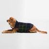 Classic/Navy Barbour Field Reversible Dog Coat on dog