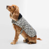 Jasmine Leopard Barbour Harley Quilted Dog Coat on dog