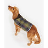 Classic Tartan Barbour Wetherham Tartan Dog Coat on dog back