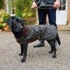 Black Barbour Wax Dog Coat On Dog