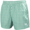 Dark Mint Offset Stripe AO Helly Hansen Mens Newport Trunks 4.5"