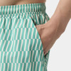 Dark Mint Offset Stripe AO Helly Hansen Mens Newport Trunks 4.5" POCKET