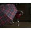 Winter Berry Barbour Tartan Walker Umbrella Lifestyle 2