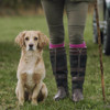 Dubarry Galway Boots Lifestyle with dog