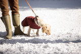 Are Wellies Good For The Snow?