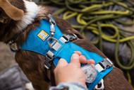 Your Guide to Ruffwear Harnesses