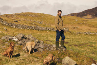 Hiking With Dogs: The Ultimate Guide