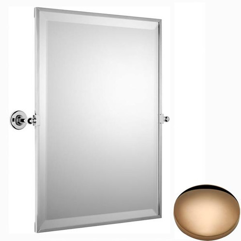 Antique Gold Samuel Heath Antique Framed Verticle Mirror N4343