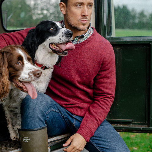 Albert and Maurice Eastnor Wine Lambswool V Neck Jumper Model