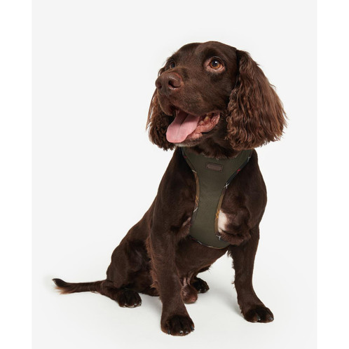 Olive Barbour Comfort Dog Harness Model
