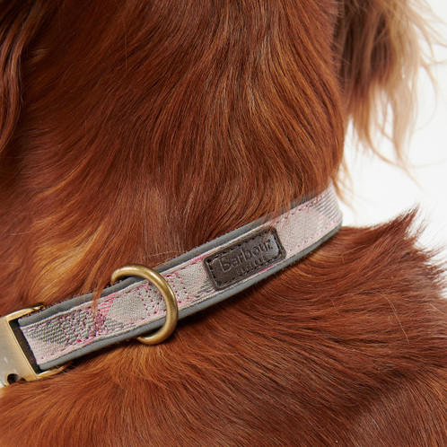 Taupe/Pink Tartan Barbour Reflective Tartan Dog Collar On Dog 2