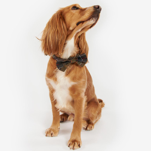 Barbour Tartan Dog Bow Tie Dashing Dog