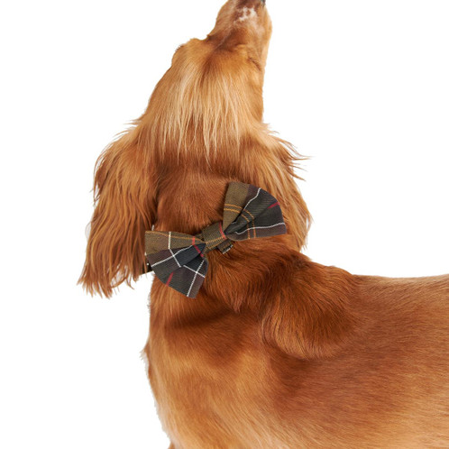 Barbour Tartan Dog Bow Tie Dashing Dog From The Top