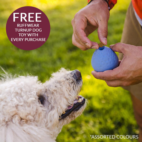 Free toy with Ruffwear Front Range Dog Harness