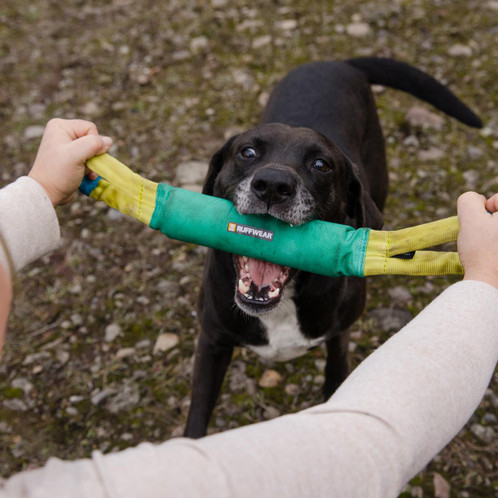 Aurora Teal Ruffwear Pacific Loop Dog Toy Lifestyle